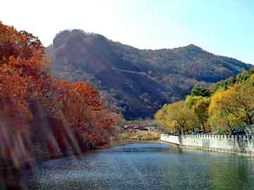 奥门天天开奖免费资料，丰田花冠召回